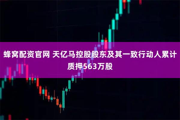 蜂窝配资官网 天亿马控股股东及其一致行动人累计质押563万股