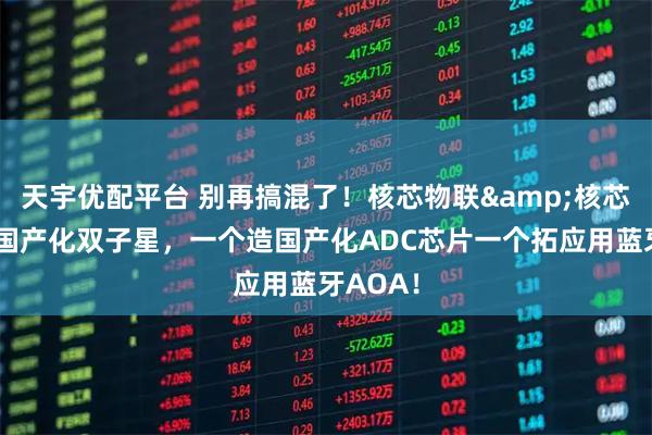 天宇优配平台 别再搞混了！核芯物联&核芯互联：国产化双子星，一个造国产化ADC芯片一个拓应用蓝牙AOA！