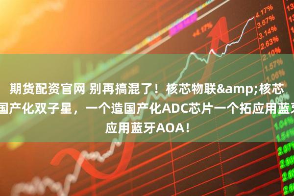 期货配资官网 别再搞混了！核芯物联&核芯互联：国产化双子星，一个造国产化ADC芯片一个拓应用蓝牙AOA！